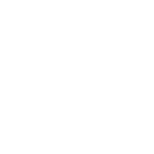 4_technika
